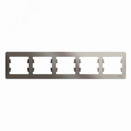 Рамка GLOSSA GSL001205 5постов платина