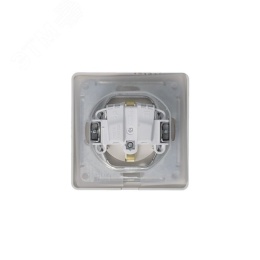 Розетка GLOSSA GSL001248 с/з с крышкой и шторками платина