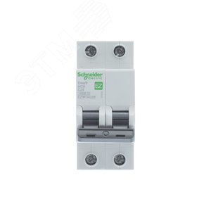 25А 2П С EASY9 Schneider Electric
