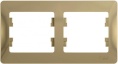 Рамка GLOSSA GSL000402 2поста титан