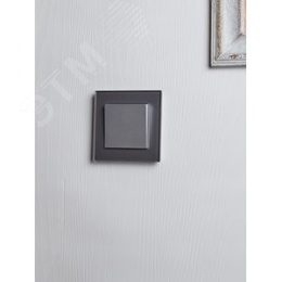 Выключатель IEK BRITE 1кл алюминий