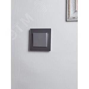 Выключатель IEK BRITE 1кл алюминий