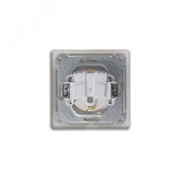 Розетка GLOSSA GSL001248 с/з с крышкой и шторками платина