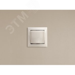 Legrand Valena 774422 Розетка 1к винты с крышкой белая 