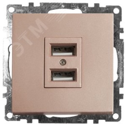 Розетка USB STEKKER GLS10-7115-02 2-местная шампань (механизм) серия КАТРИН