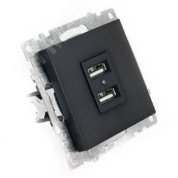 Розетка USB STEKKER GLS10-7115-05 2-местная черный (механизм) серия КАТРИН