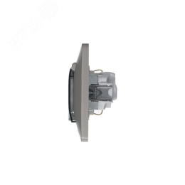 Розетка GLOSSA GSL001248 с/з с крышкой и шторками платина