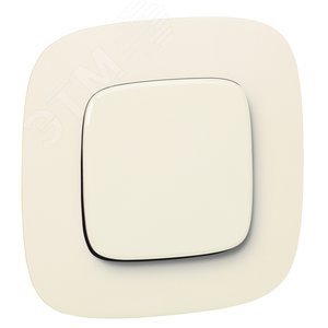 Legrand Valena-А 755006 клав. выкл сл.кость