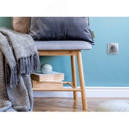 Legrand Valena 770120 Розетка 1ая с/з нем.стд. алюм.
