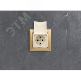 Legrand Valena 774322 Розетка 2к+3нем.ст. мех. сл.кость с крышкой