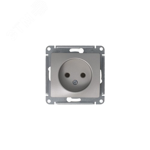 Розетка GLOSSA GSL001243 1-ая с/з платина