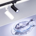 Розетка BLANCA BLNRA045006 RJ45 антрацит, наружная