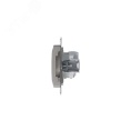 Розетка GLOSSA GSL001243 1-ая с/з платина