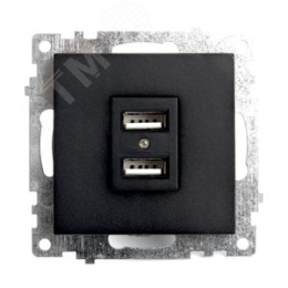Розетка USB STEKKER GLS10-7115-05 2-местная черный (механизм) серия КАТРИН