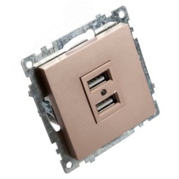 Розетка USB STEKKER GLS10-7115-02 2-местная шампань (механизм) серия КАТРИН