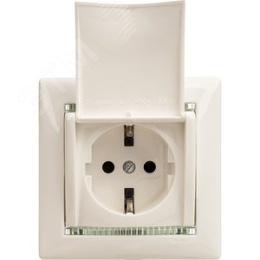 Legrand Valena 774422 Розетка 1к винты с крышкой белая 