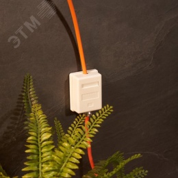 Компьютерная розетка REXANT 03-0121 1*RJ-45 CAT5e (2902005)