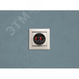 Legrand Valena 774424 Розетка акустическая белая 