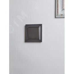 Переключатель IEK BRITE 1кл сталь
