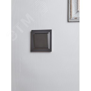 Переключатель IEK BRITE 1кл сталь