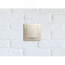 Legrand Valena 774422 Розетка 1к винты с крышкой белая 