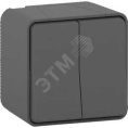Переключатель SE MUREVA MUR35022 2кл, антрацит, наружный