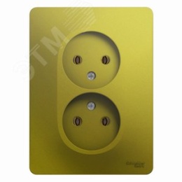 Розетка GLOSSA GSL001020 2-ая б/з в рамку фисташка