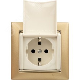 Legrand Valena 774322 Розетка 2к+3нем.ст. мех. сл.кость с крышкой