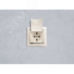 Legrand Valena 774422 Розетка 1к винты с крышкой белая 