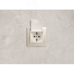 Legrand Valena 774422 Розетка 1к винты с крышкой белая 